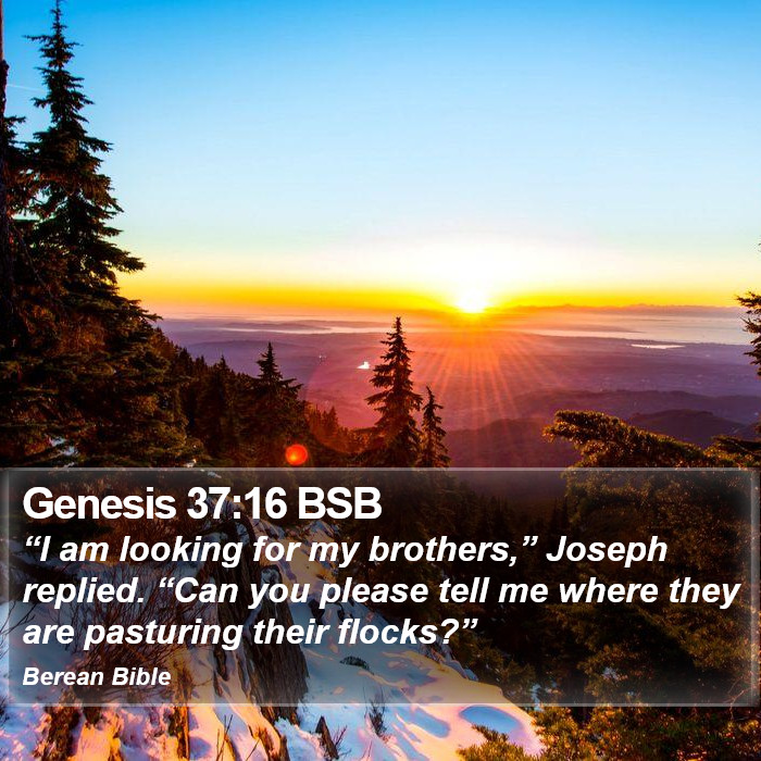 Genesis 37:16 BSB Bible Study