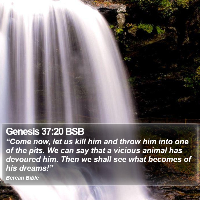 Genesis 37:20 BSB Bible Study