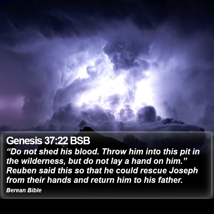 Genesis 37:22 BSB Bible Study