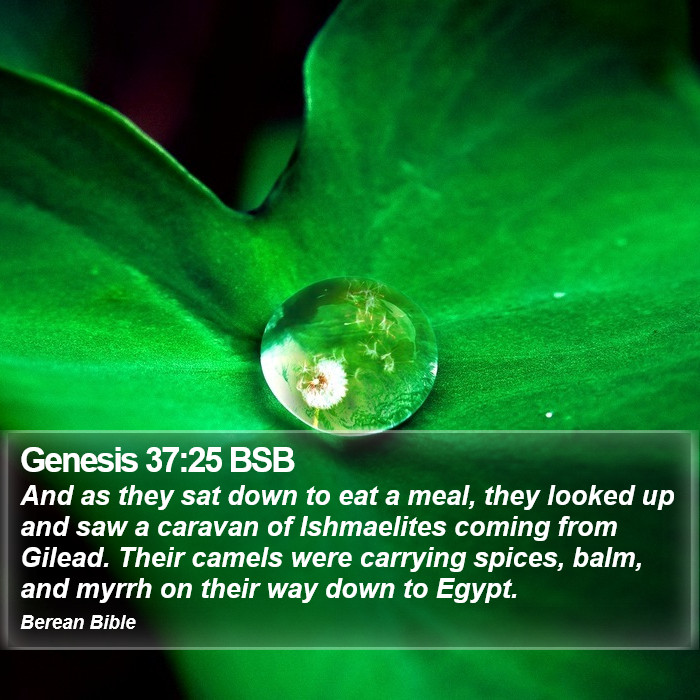 Genesis 37:25 BSB Bible Study