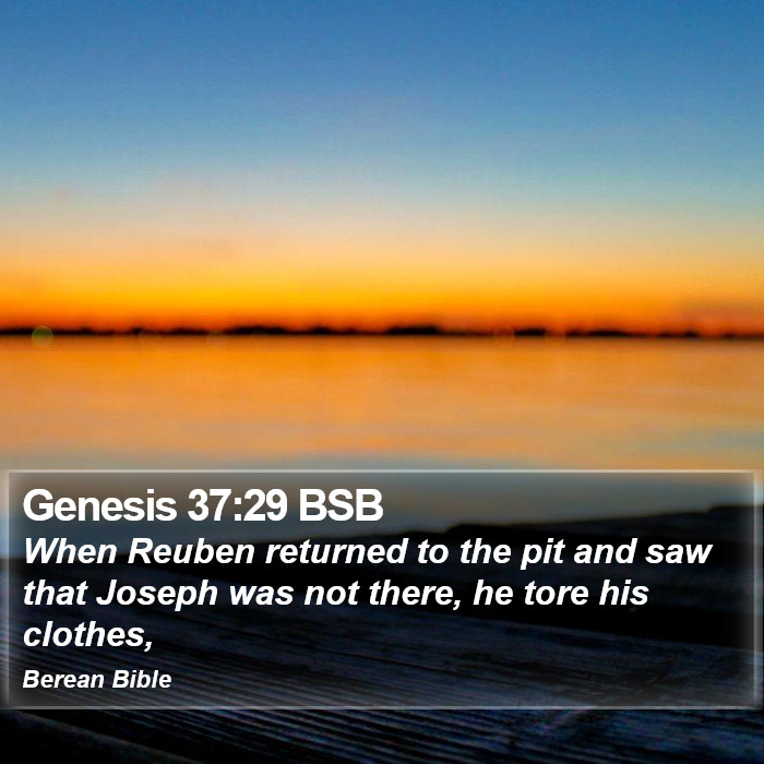 Genesis 37:29 BSB Bible Study