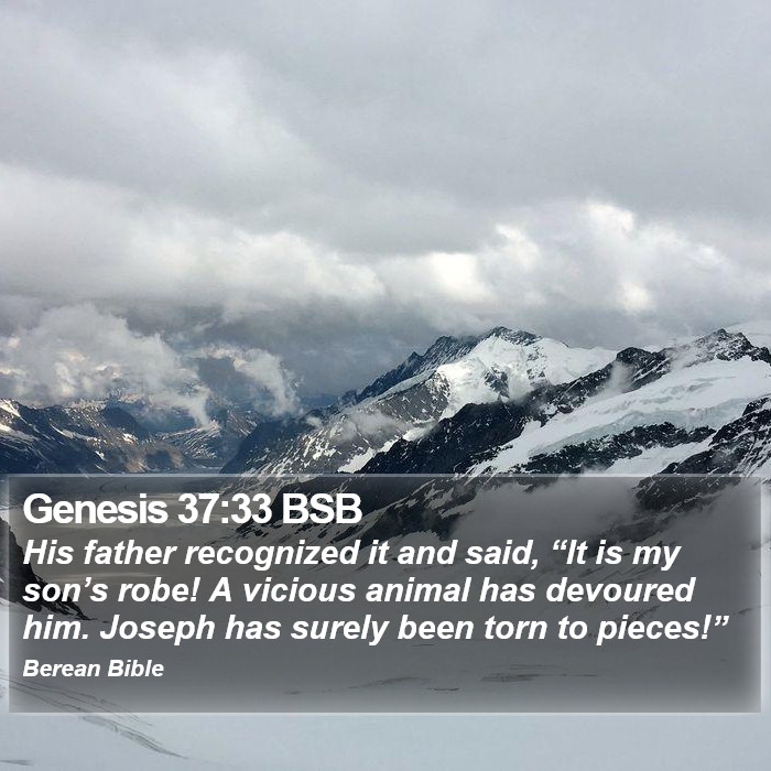 Genesis 37:33 BSB Bible Study