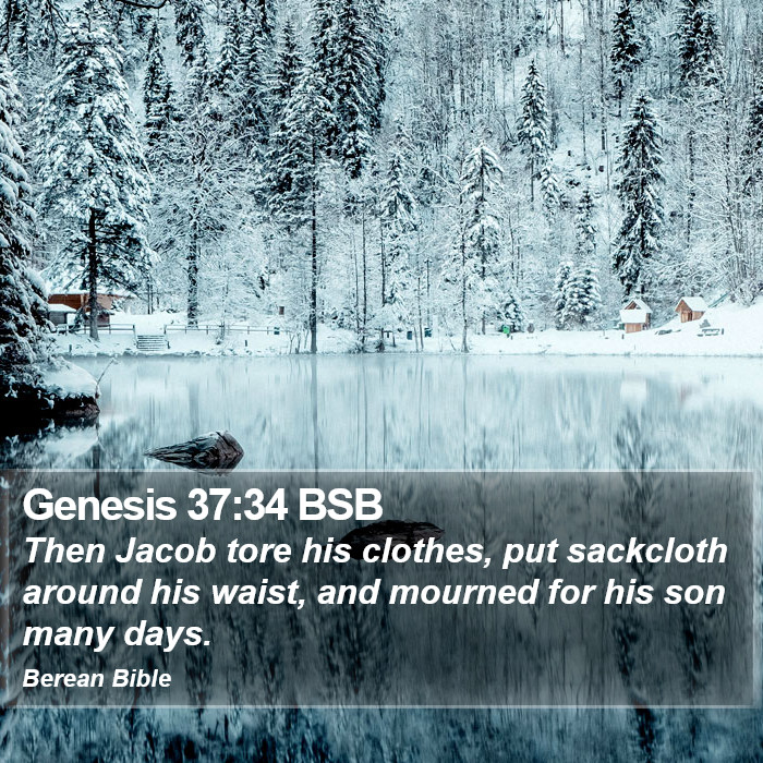 Genesis 37:34 BSB Bible Study