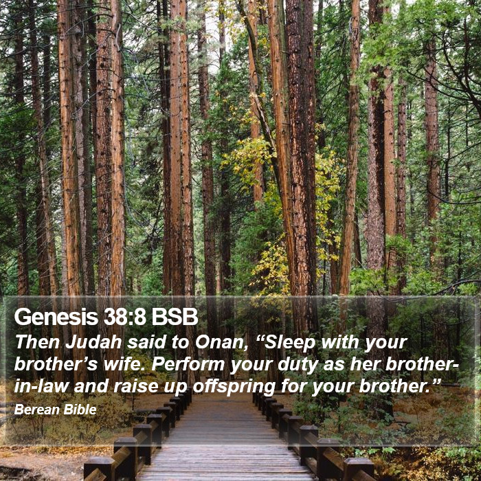 Genesis 38:8 BSB Bible Study