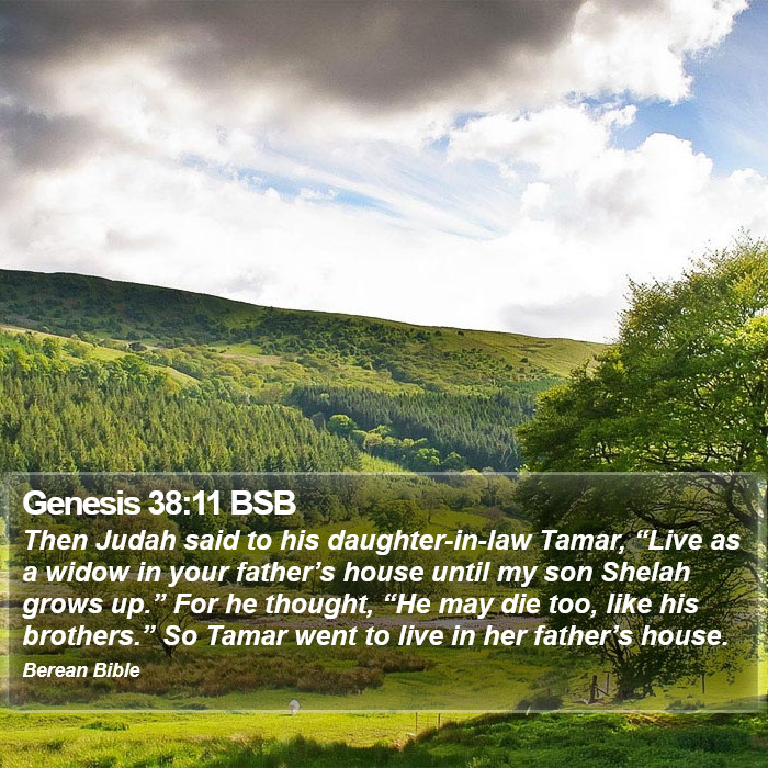 Genesis 38:11 BSB Bible Study