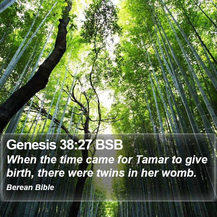 Genesis 38:27 BSB Bible Study