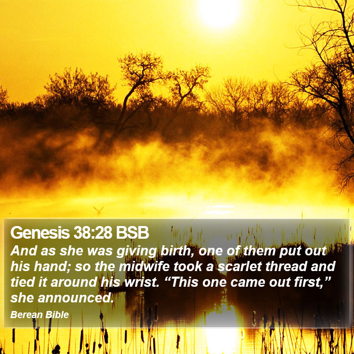 Genesis 38:28 BSB Bible Study