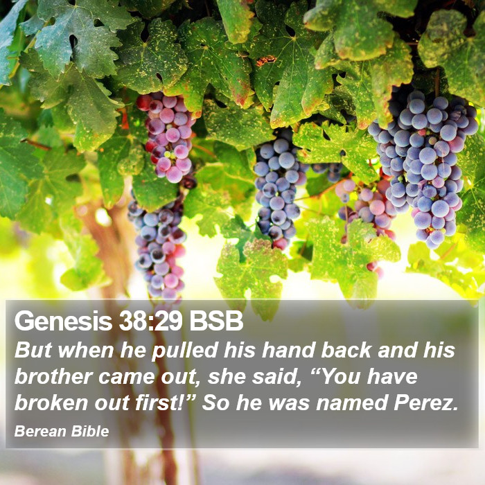 Genesis 38:29 BSB Bible Study