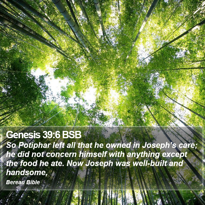 Genesis 39:6 BSB Bible Study