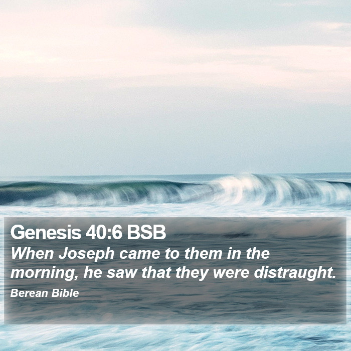 Genesis 40:6 BSB Bible Study