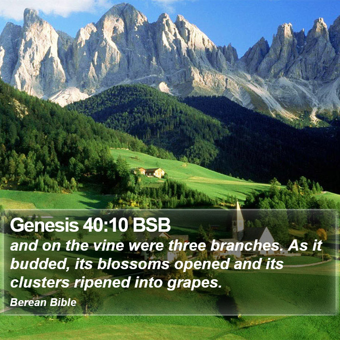 Genesis 40:10 BSB Bible Study