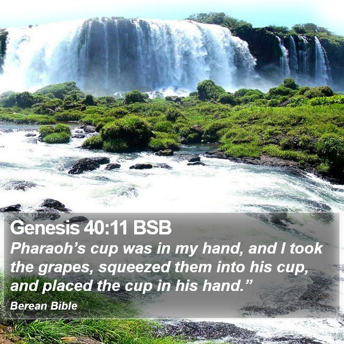 Genesis 40:11 BSB Bible Study