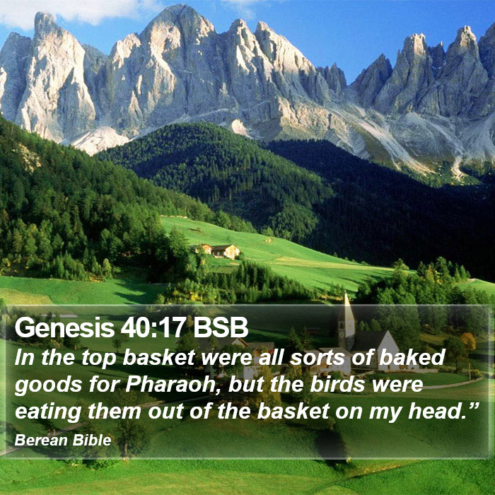 Genesis 40:17 BSB Bible Study