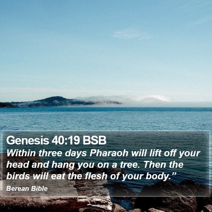 Genesis 40:19 BSB Bible Study