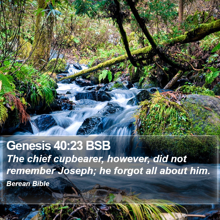 Genesis 40:23 BSB Bible Study