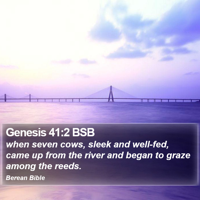 Genesis 41:2 BSB Bible Study