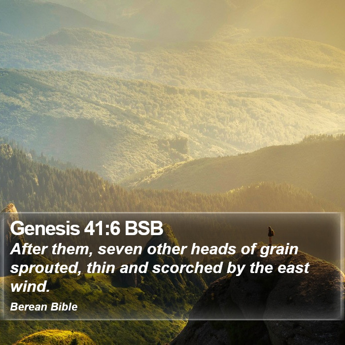 Genesis 41:6 BSB Bible Study