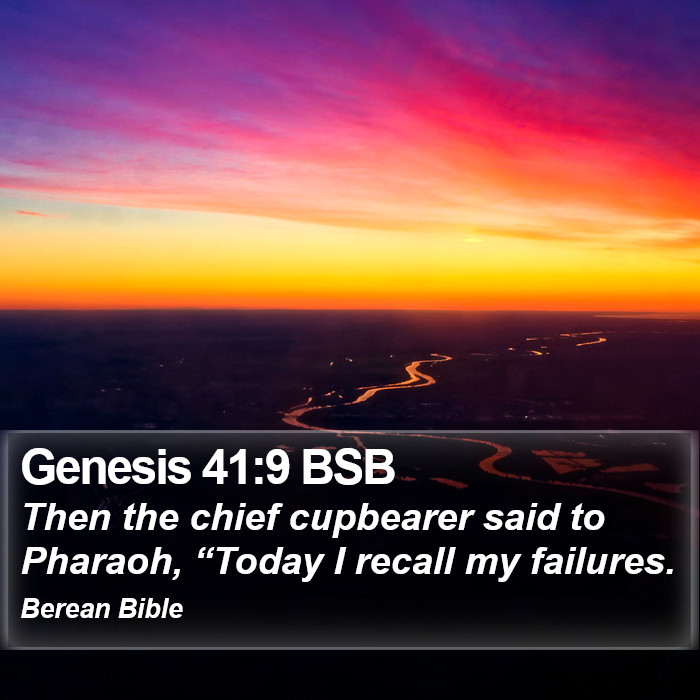 Genesis 41:9 BSB Bible Study