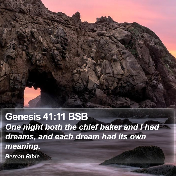 Genesis 41:11 BSB Bible Study