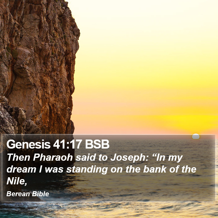 Genesis 41:17 BSB Bible Study