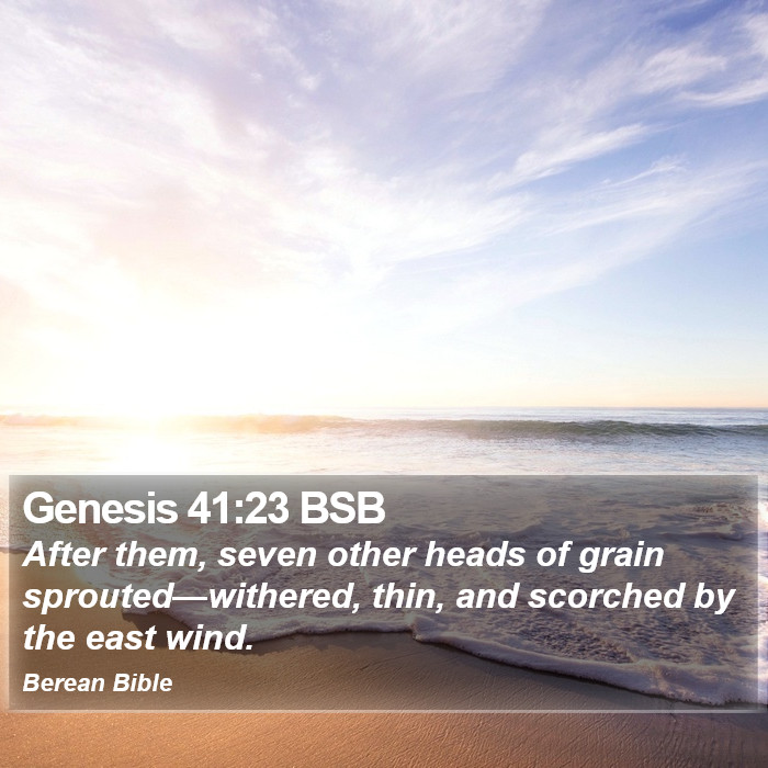 Genesis 41:23 BSB Bible Study