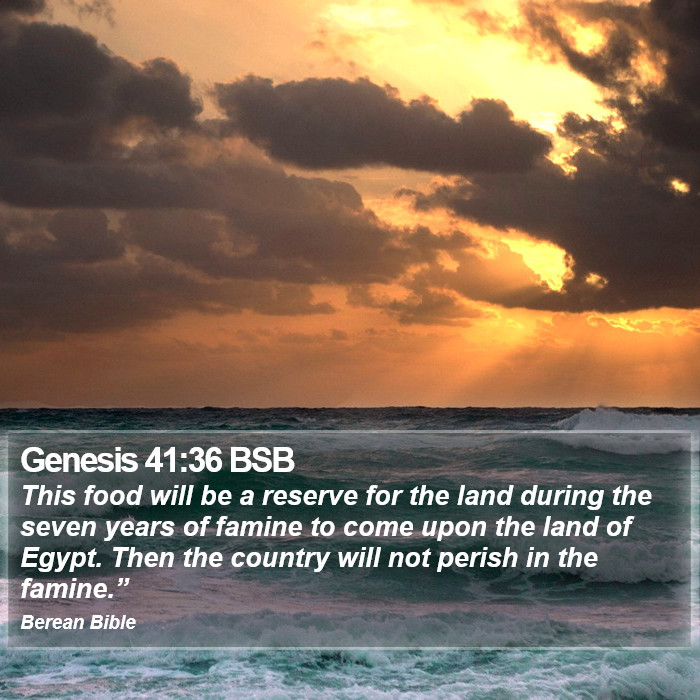 Genesis 41:36 BSB Bible Study