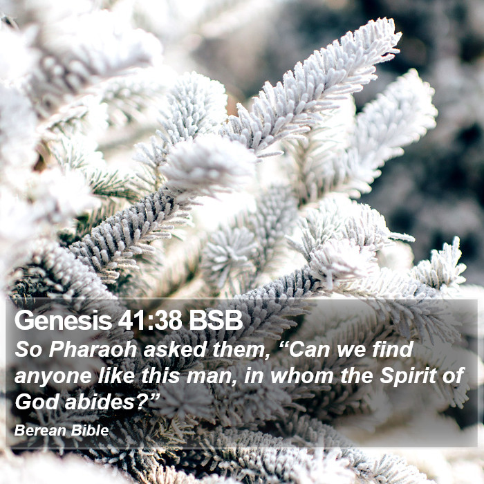 Genesis 41:38 BSB Bible Study