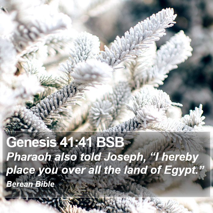 Genesis 41:41 BSB Bible Study