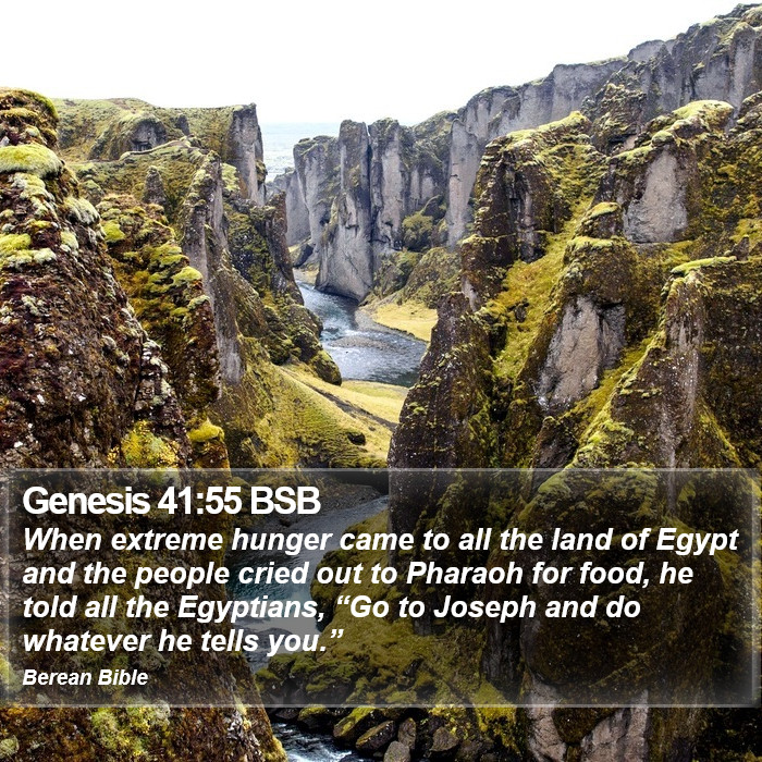 Genesis 41:55 BSB Bible Study