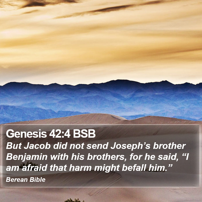 Genesis 42:4 BSB Bible Study