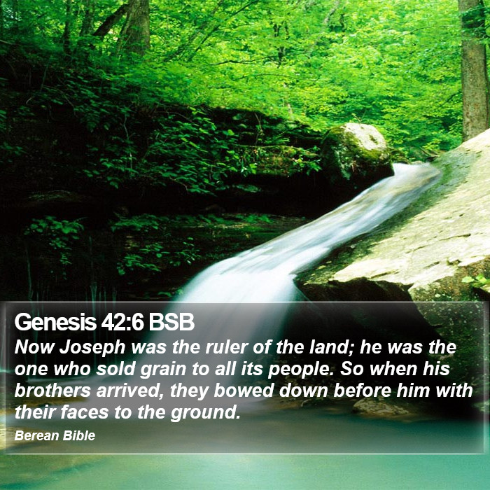 Genesis 42:6 BSB Bible Study