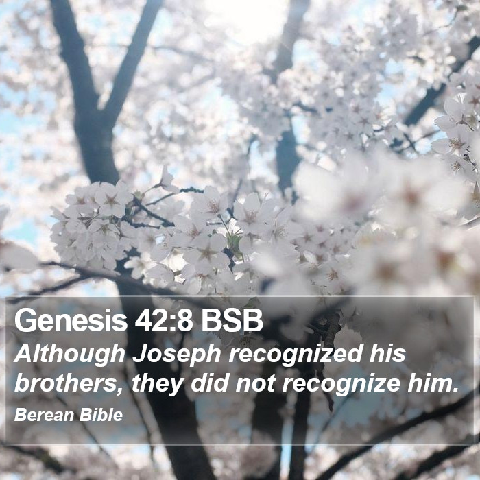 Genesis 42:8 BSB Bible Study