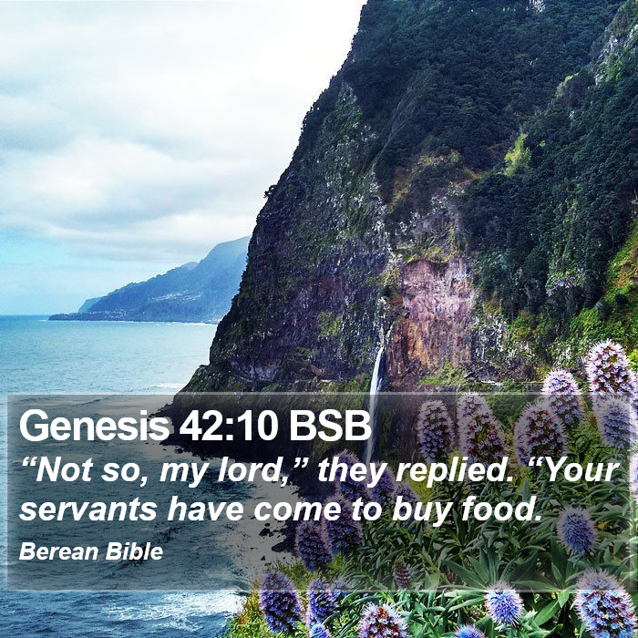 Genesis 42:10 BSB Bible Study