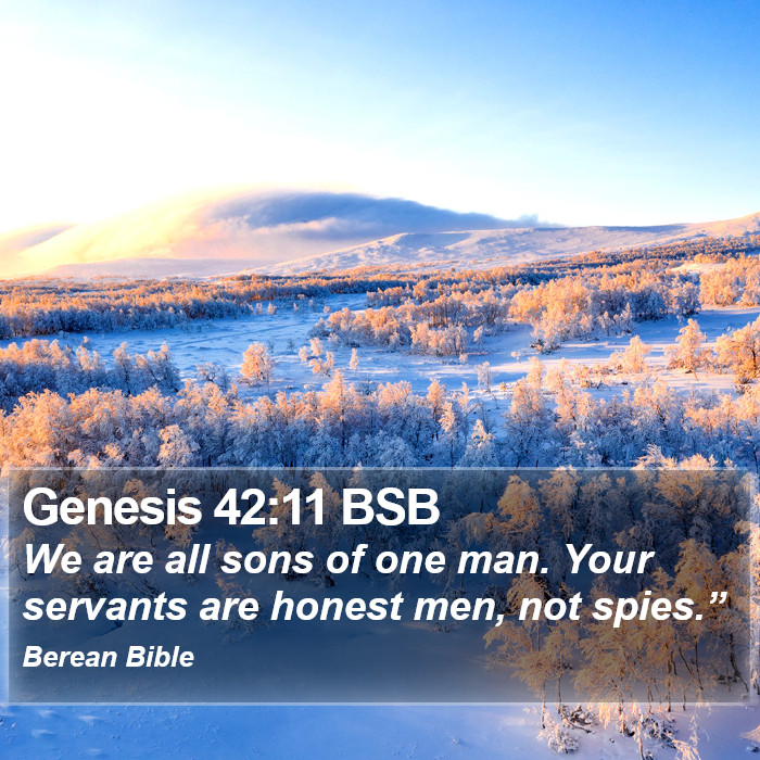 Genesis 42:11 BSB Bible Study