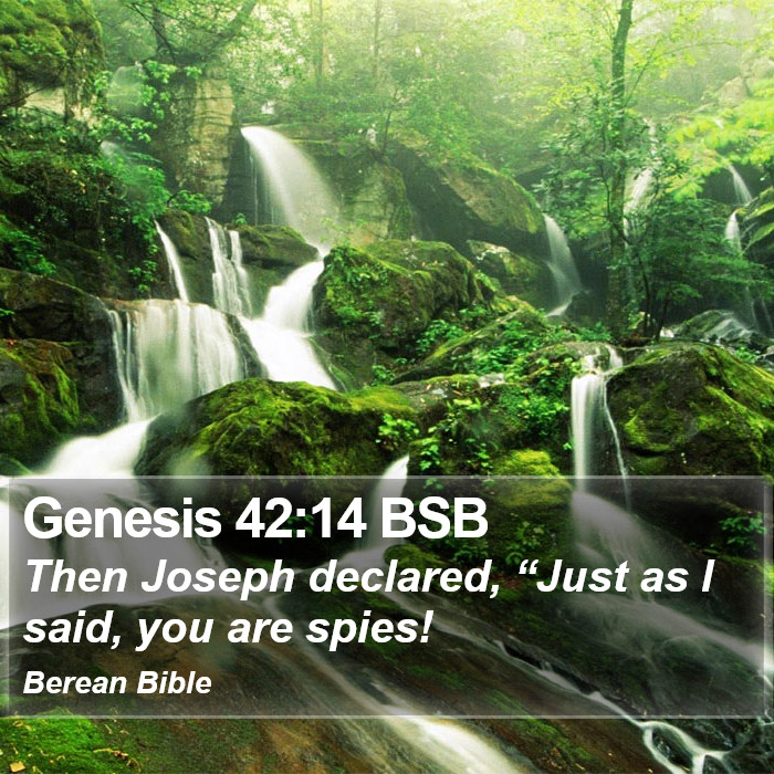 Genesis 42:14 BSB Bible Study