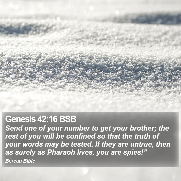 Genesis 42:16 BSB Bible Study