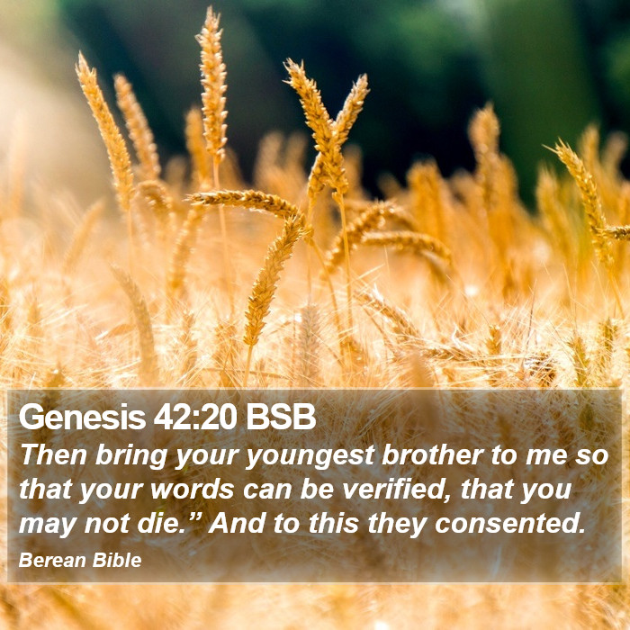 Genesis 42:20 BSB Bible Study