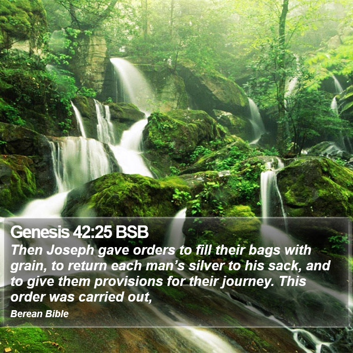 Genesis 42:25 BSB Bible Study