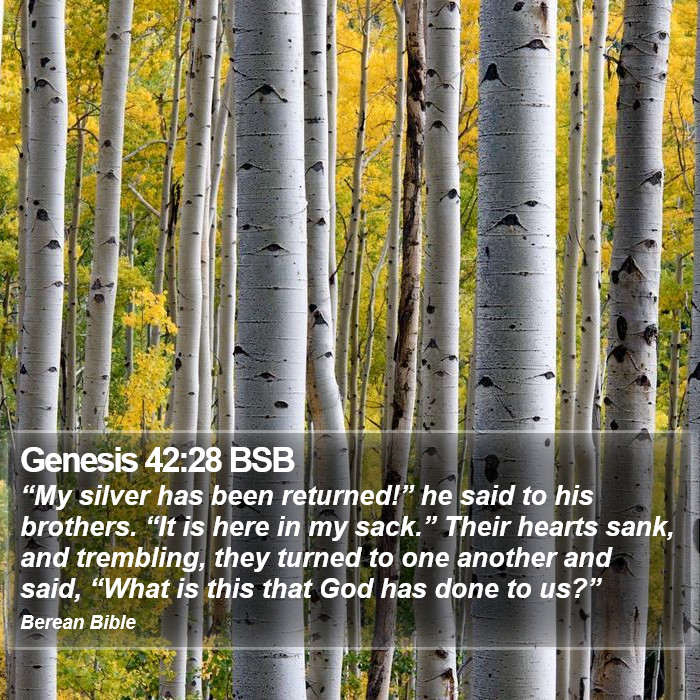 Genesis 42:28 BSB Bible Study