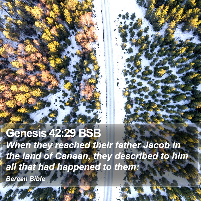 Genesis 42:29 BSB Bible Study