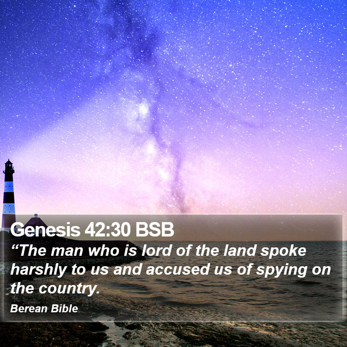 Genesis 42:30 BSB Bible Study