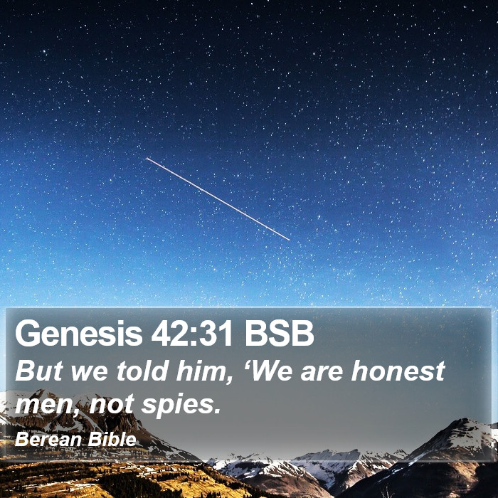 Genesis 42:31 BSB Bible Study