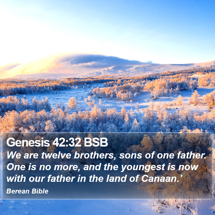 Genesis 42:32 BSB Bible Study