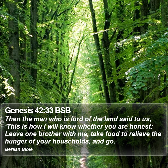 Genesis 42:33 BSB Bible Study