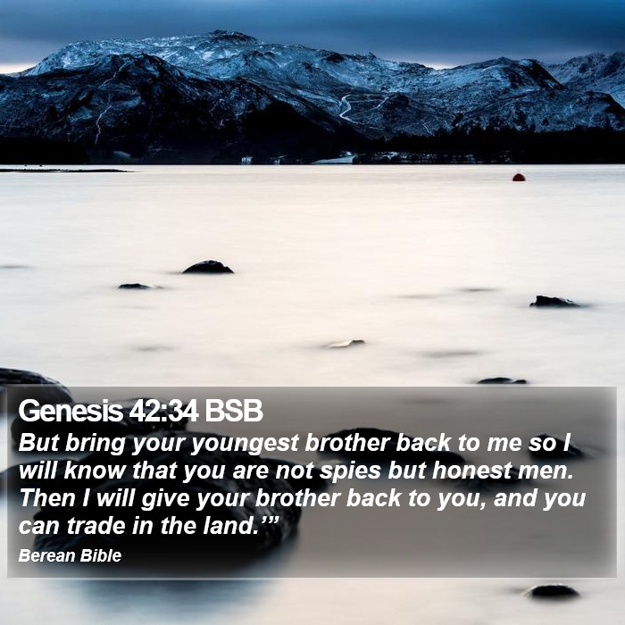 Genesis 42:34 BSB Bible Study