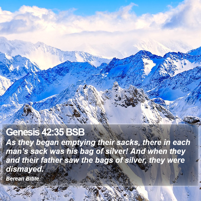 Genesis 42:35 BSB Bible Study