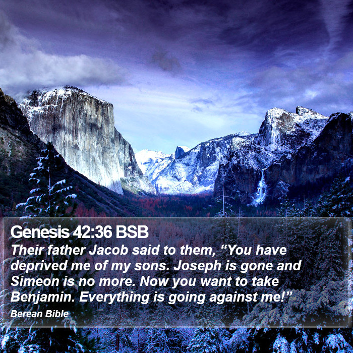 Genesis 42:36 BSB Bible Study