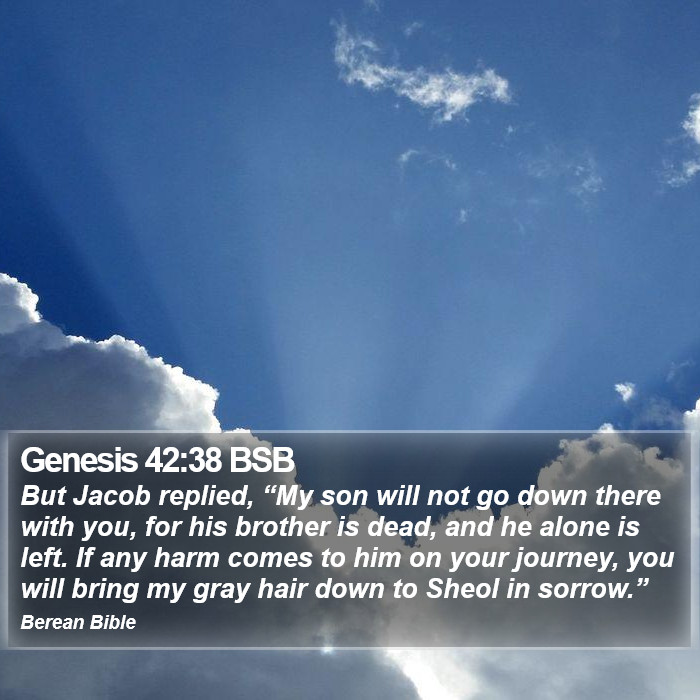 Genesis 42:38 BSB Bible Study