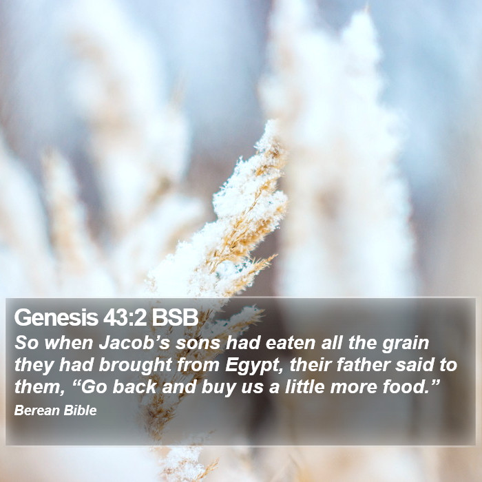 Genesis 43:2 BSB Bible Study