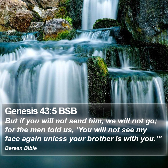 Genesis 43:5 BSB Bible Study